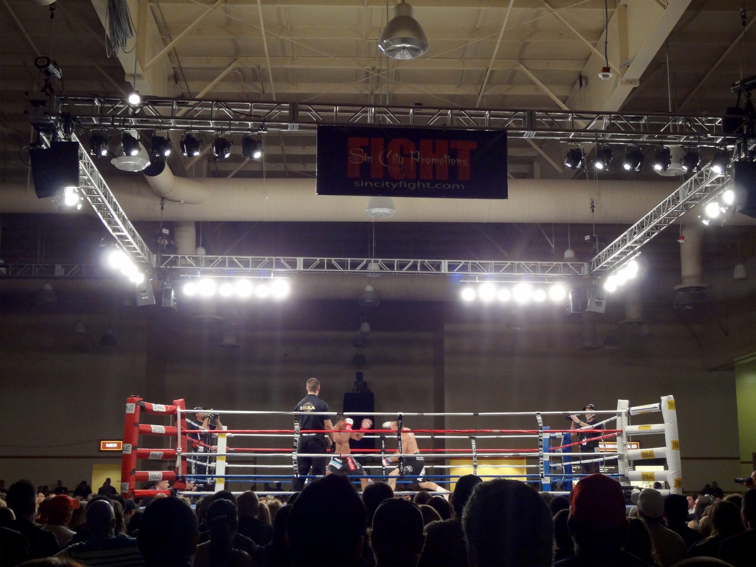 Impact Plus Streaming and the Rise of Impact